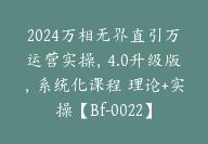 2024万相无界直引万运营实操，4.0升级版，系统化课程 理论+实操【Bf-0022】-副业圈