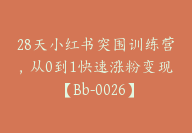 28天小红书突围训练营，从0到1快速涨粉变现【Bb-0026】-副业圈