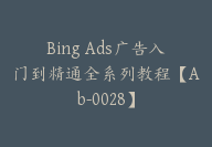 Bing Ads广告入门到精通全系列教程【Ab-0028】-副业圈