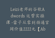 Leizi老师的谷歌Adwords 运营实操课 -雷子从零到精通官网价值2222元【Ab-0010】-副业圈