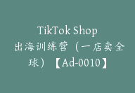 TikTok Shop 出海训练营（一店卖全球）【Ad-0010】-副业圈