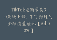 TikTok电商带货30天线上课，不可错过的全球流量洼地【Ad-0020】-副业圈