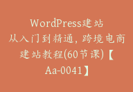 WordPress建站从入门到精通，跨境电商建站教程(60节课)【Aa-0041】-副业圈