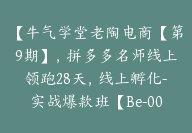 【牛气学堂老陶电商【第9期】，拼多多名师线上领跑28天，线上孵化-实战爆款班【Be-0002】-副业圈