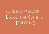 从0基础到精通进阶TikTok账号运营到变现【Ad-0017】-副业圈