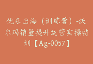 优乐出海（训练营）-沃尔玛销量提升运营实操特训【Ag-0057】-副业圈