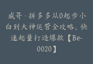 威哥·拼多多从0起步小白到大神运营全攻略，快速起量打造爆款【Be-0020】-副业圈