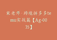 宋老师·跨境拼多多temu实战篇【Ag-0035】-副业圈