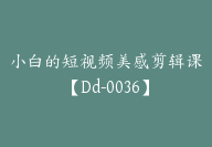 小白的短视频美感剪辑课【Dd-0036】-副业圈