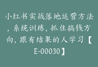 小红书实战落地运营方法，系统训练，抓住搞钱方向，跟有结果的人学习【E-00030】-副业圈