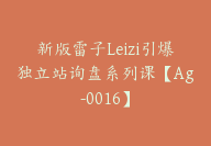 新版雷子Leizi引爆独立站询盘系列课【Ag-0016】-副业圈