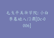 毛戈平美妆学院: 小白季基础入门课[Dc-0006]-副业圈