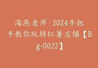 海燕老师·2024手把手教你玩转红薯店铺【Bg-0022】-副业圈