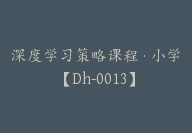 深度学习策略课程·小学【Dh-0013】-副业圈