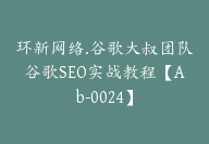 环新网络.谷歌大叔团队谷歌SEO实战教程【Ab-0024】-副业圈