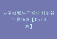 石学敏醒脑开窍针刺法新下载16集【Da-0039】-副业圈