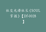 社交光谱社长《SOUL掌握》【Df-0028】-副业圈