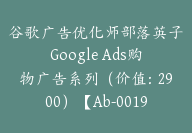 谷歌广告优化师部落英子Google Ads购物广告系列（价值：2900）【Ab-0019】-副业圈