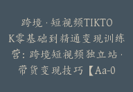 跨境·短视频TIKTOK零基础到精通变现训练营：跨境短视频独立站·带货变现技巧【Aa-0028】-副业圈