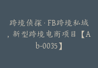 跨境侦探·FB跨境私域，新型跨境电商项目【Ab-0035】-副业圈