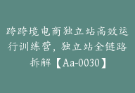 跨跨境电商独立站高效运行训练营，独立站全链路拆解【Aa-0030】-副业圈