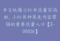 辛言玩爆小红书流量实战班，小红书种草是内容营销的重要流量入口【E-00026】-副业圈