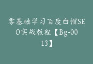 零基础学习百度白帽SEO实战教程【Bg-0013】-副业圈