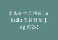 零基础学习领英 LinkedIn 营销教程【Ag-0025】-副业圈