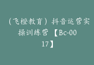 （飞橙教育）抖音运营实操训练营 【Bc-0017】-副业圈