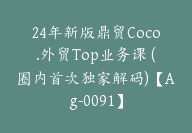 24年新版鼎贸Coco.外贸Top业务课 (圈内首次独家解码)【Ag-0091】-副业圈