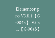 Elementor pro V3.8.1【G-0048】 V3.8.1【G-0048】-副业圈