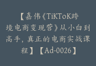 【嘉伟《TiKToK跨境电商变现营》从小白到高手，真正的电商实战课程】【Ad-0026】-副业圈