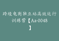 跨境电商独立站高效运行训练营【Aa-0048】-副业圈