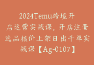 2024Temu跨境开店运营实战课，开店注册选品核价上架日出千单实战课【Ag-0107】-副业圈