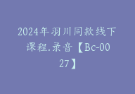 2024年羽川同款线下课程.录音【Bc-0027】-副业圈