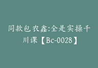 同款包农鑫:全是实操千川课【Bc-0028】-副业圈