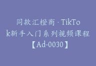 同款汇橙商·TikTok新手入门系列视频课程【Ad-0030】-副业圈