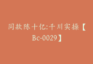 同款陈十亿:千川实操【Bc-0029】-副业圈