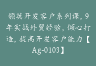 领英开发客户系列课，9年实战外贸经验，倾心打造，提高开发客户能力【Ag-0103】-副业圈