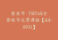 唐老师·TikTok全套账号运营课程【Ad-0031】-副业圈