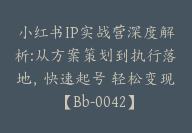 小红书IP实战营深度解析:从方案策划到执行落地，快速起号 轻松变现【Bb-0042】-副业圈