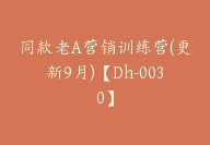 同款老A营销训练营(更新9月)【Dh-0030】-副业圈