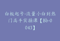 白板起号-流量小白到热门高手实操课【Bb-0043】-副业圈