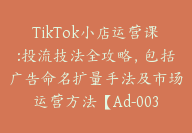 TikTok小店运营课:投流技法全攻略，包括广告命名扩量手法及市场运营方法【Ad-0035】-副业圈