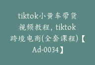 tiktok小黄车带货视频教程，tiktok跨境电商(全套课程)【Ad-0034】-副业圈