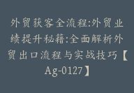 外贸获客全流程:外贸业绩提升秘籍:全面解析外贸出口流程与实战技巧【Ag-0127】-副业圈