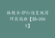 林教头-IP打造变现闭环实战班【Bb-0065】-副业圈