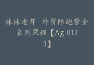 林林老师·外贸陪跑营全系列课程【Ag-0123】-副业圈