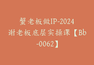 蟹老板做IP-2024谢老板底层实操课【Bb-0062】-副业圈