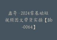 鑫哥·2024零基础短视频图文带货实操【Bb-0064】-副业圈